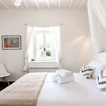 酒店 Amazing Deep Blue Mykonos *